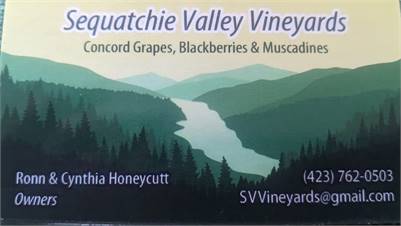 Sequatchie Valley Vineyards