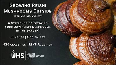 How to Grow Reishi Mushrooms Outdoors